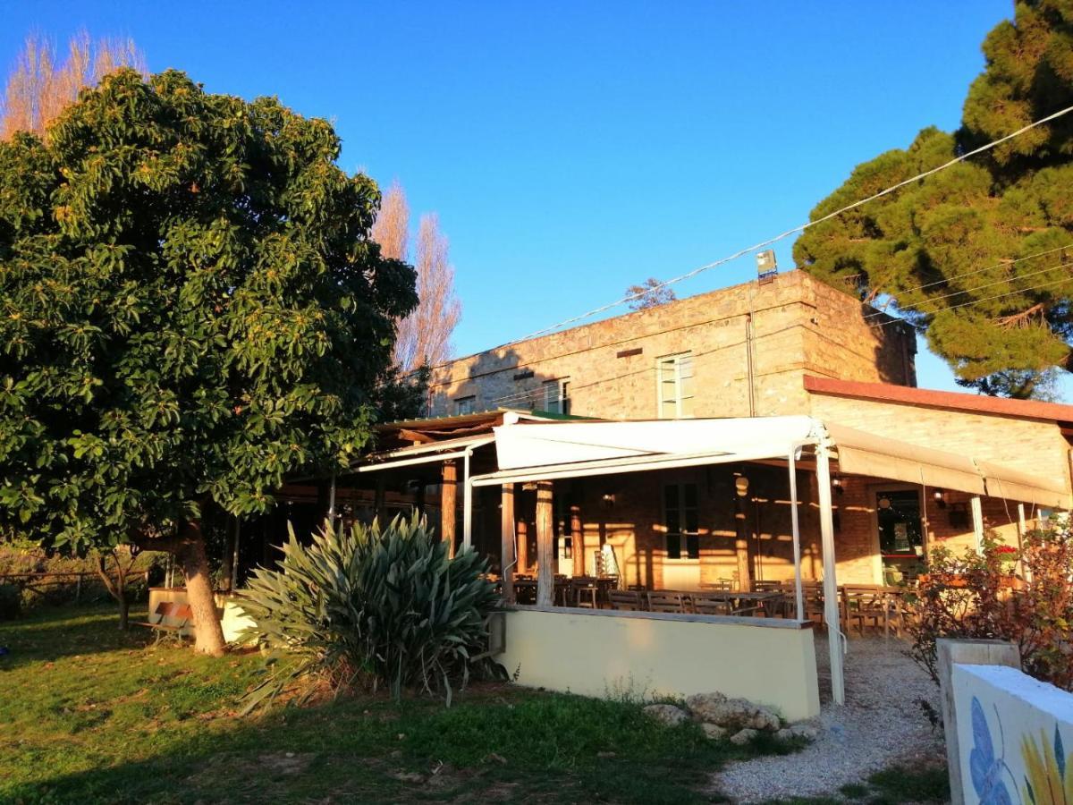 Nonna Litta Villa อัลเบงกา ภายนอก รูปภาพ