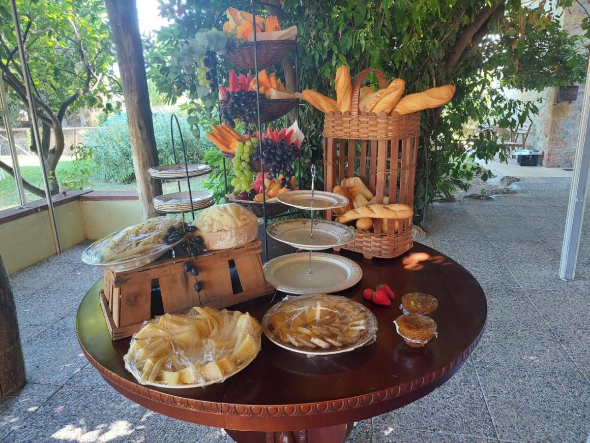 Nonna Litta Villa อัลเบงกา ภายนอก รูปภาพ