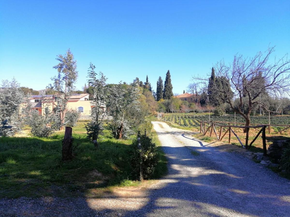Nonna Litta Villa อัลเบงกา ภายนอก รูปภาพ