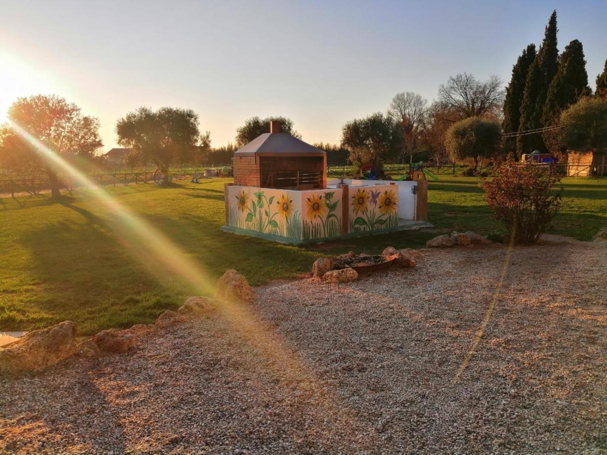 Nonna Litta Villa อัลเบงกา ภายนอก รูปภาพ